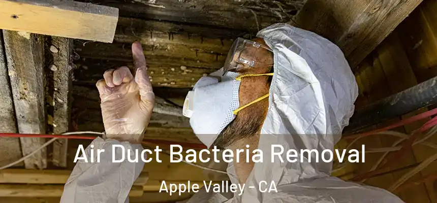 Air Duct Bacteria Removal Apple Valley - CA