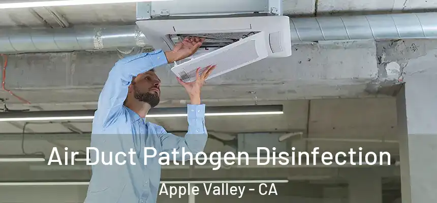 Air Duct Pathogen Disinfection Apple Valley - CA