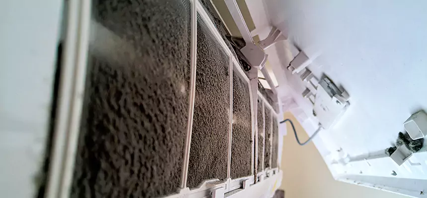 Preventive Air Duct Bacteria Removal in Apple Valley