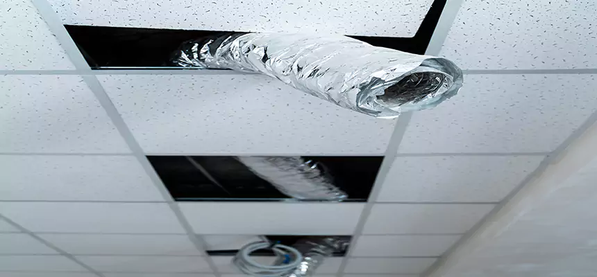 Our Air Duct Pet Hair Removal Services in Apple Valley, CA