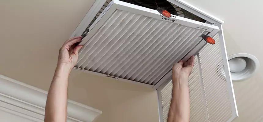 Our Insect Removal from Air Ducts Services in Apple Valley, CA