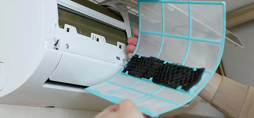 Gentle Ductwork Odor-Control Pet Dander Duct Cleaning in Apple Valley, CA