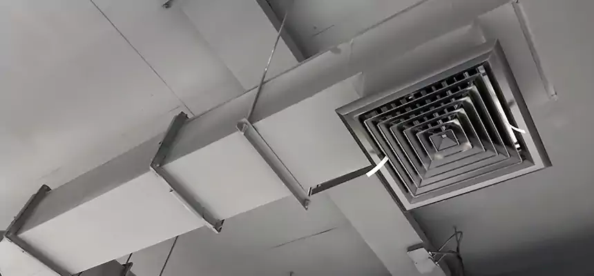 Our Rodent Droppings In Vents Services in Apple Valley, CA