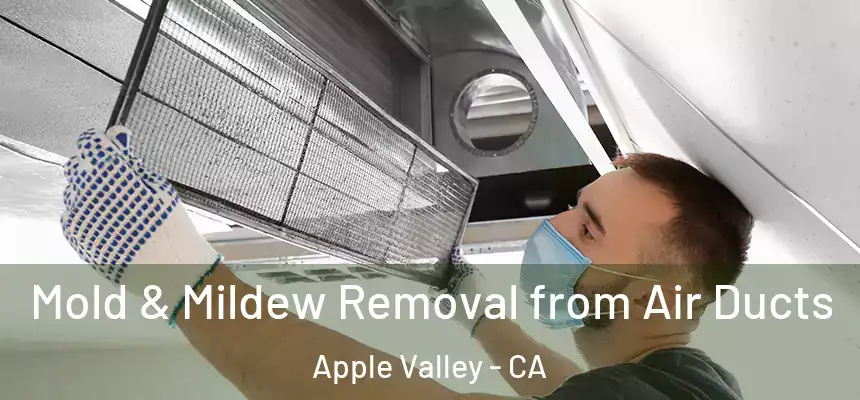 Mold & Mildew Removal from Air Ducts Apple Valley - CA