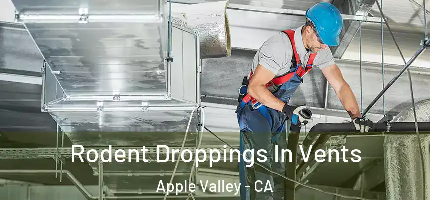 Rodent Droppings In Vents Apple Valley - CA