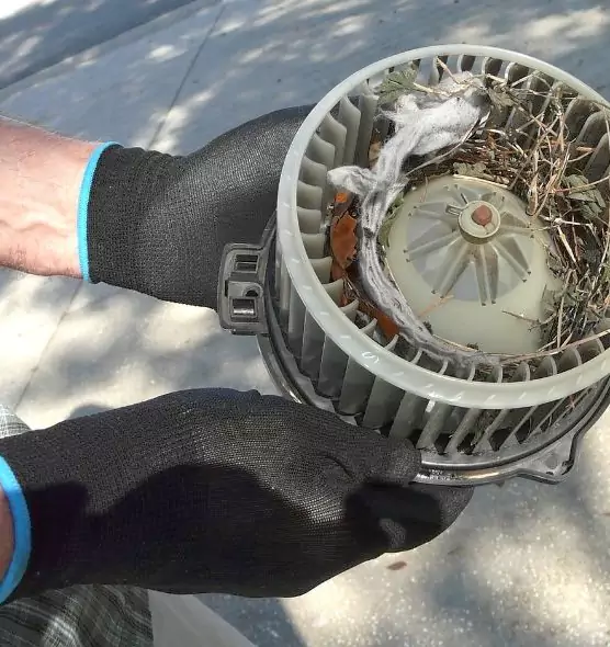 About Air Duct Rat Removal in Apple Valley, CA