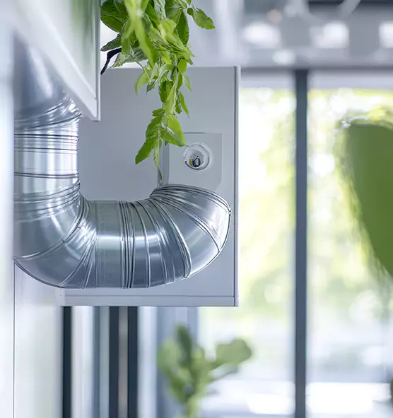 Professional Eco-Friendly Duct Cleaning Services in Apple Valley, CA