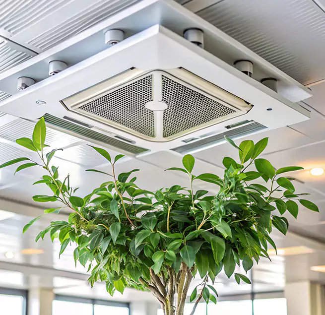 Why Homeowners & Businesses Trust Us in Apple Valley, CA